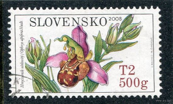 Словакия. Флора. Цветы