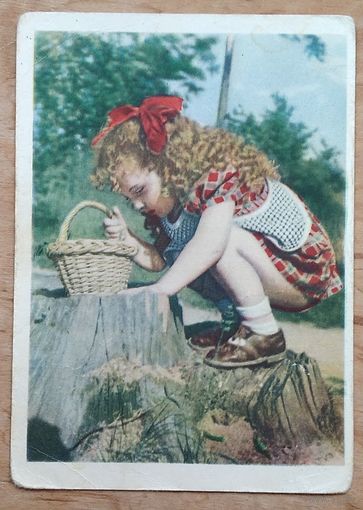 Мичурина Е. Почему пень шершавый. 1955 г. Чистая