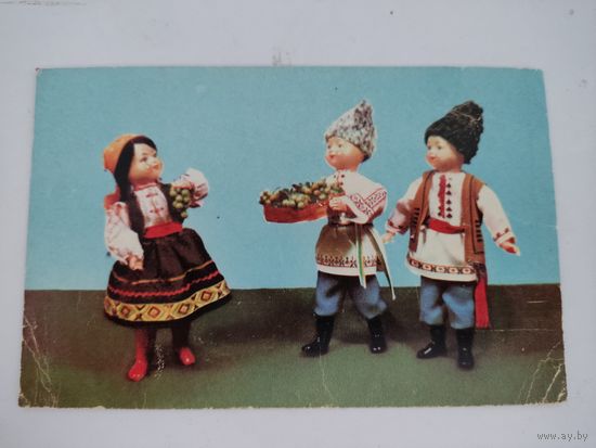 Открытка 1967г. "Виноград", фото Е.Игнатович и В.Монина