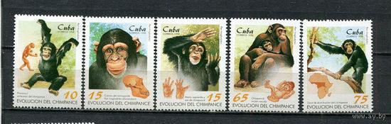 Куба - 1998 - Обезьяны - [Mi. 4106-4110] - полная серия - 5 марок. MNH.  (Лот 39JQ)-T3P33