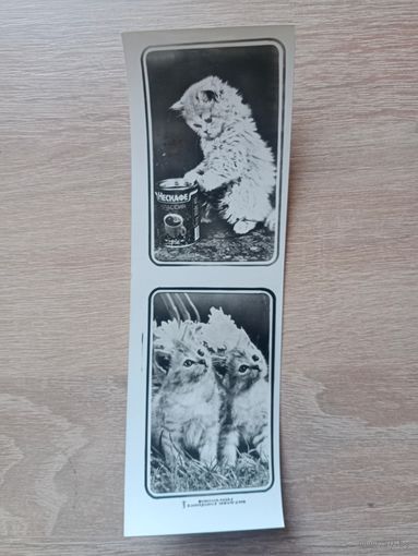 Закладка для книг 1990-е.Кооператив Зенит