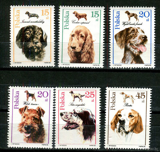 Польша - 1989 - Собаки - [Mi. 3197-3202] - полная серия - 6 марок. MNH.  (Лот 58HW)-TG3P35