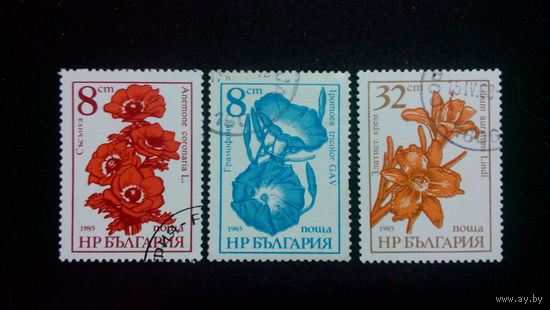 Болгария 1986. Садовые цветы. Полная серия.