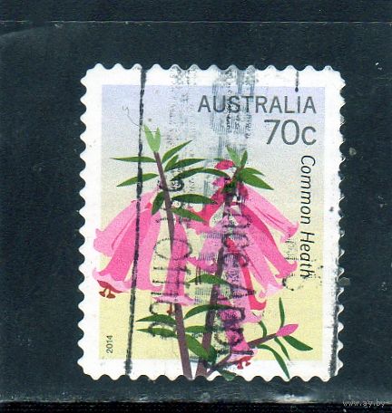 Австралия.Цветы.