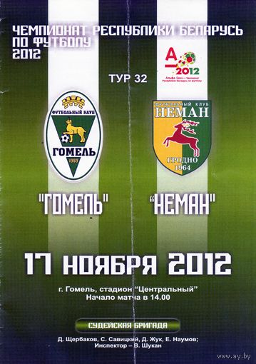 Программа Гомель-Неман (Гродно). 17 ноября 2012 г. Гомель (Центральный).