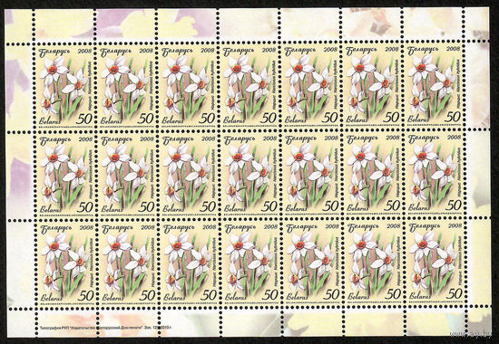 Беларусь. 2008. Стандарт.  Нарцисс (50р) (з.129-2010) Лист