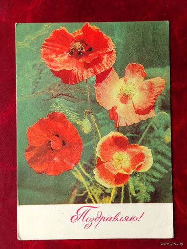 Поздравляю! Подписанная. 1969 года. Дергилев. 875.