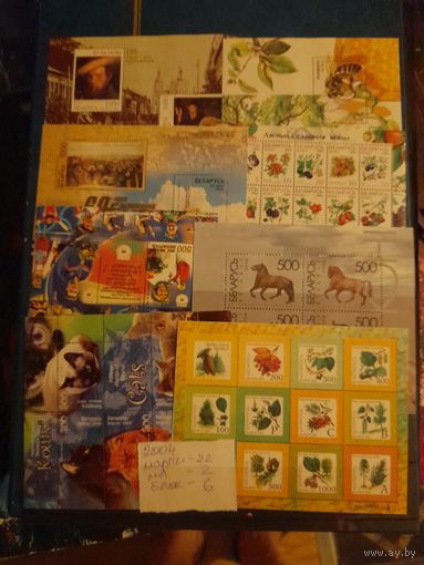 Беларусь 2004 годовой набор 22 марки , 6 блоков