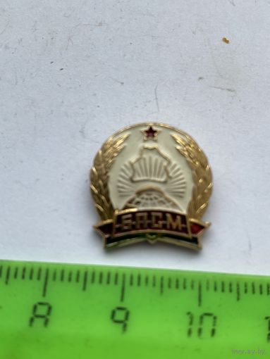 Значок бпсм