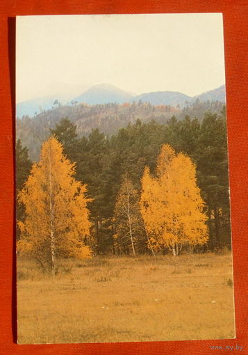 Осень. Чистая. 1985 года. Фото Вейсмана. 1143.
