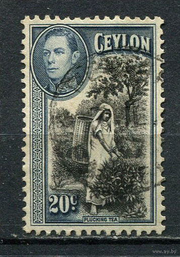Британские колонии - Цейлон - 1938/1949 - Король Георг VI и местные виды 20С - [Mi.236] - 1 марка. Гашеная.  (Лот 23Hi)-T41P6