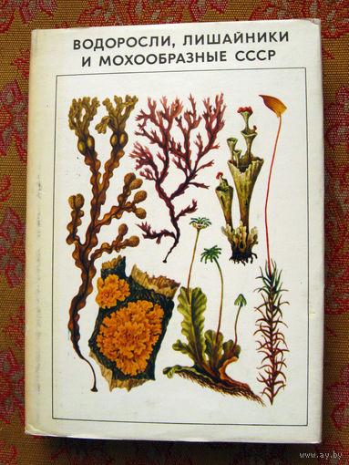 Водоросли, лишайники и мохообразные СССР