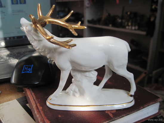 Олень, Германия.