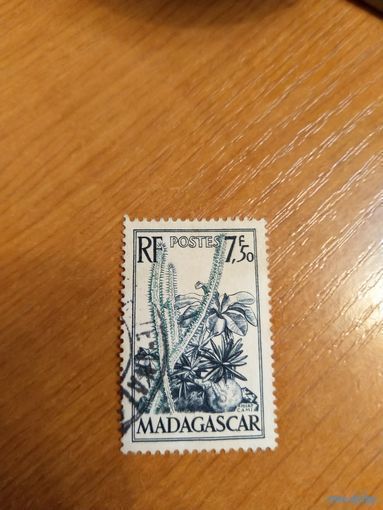 Французская колония Мадагаскар флора кактусы (1-9)