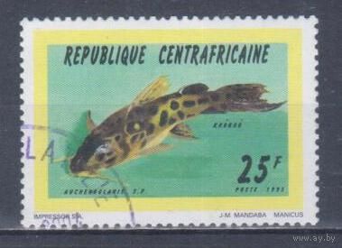 [246] ЦАР 1995. Фауна.Рыбы. Гашеная марка.
