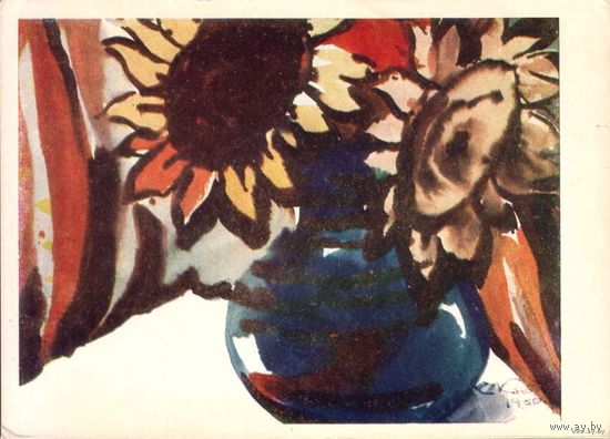 Кнавина Е. Подсолнечники. Рига, 1960 г.