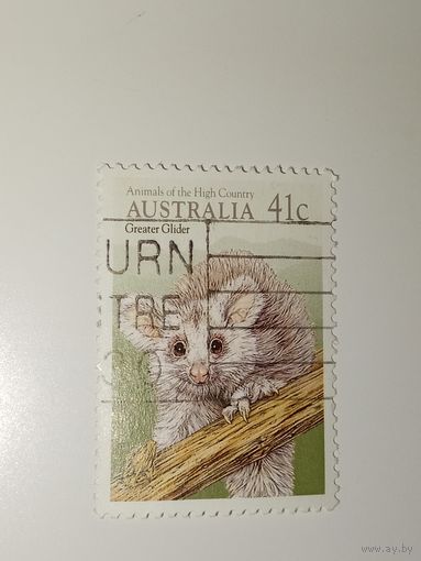 Австралия год 1990. Большой летучий кускус