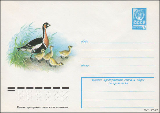 Художественный маркированный конверт СССР N 12796 (19.04.1978) Краснозобая казарка