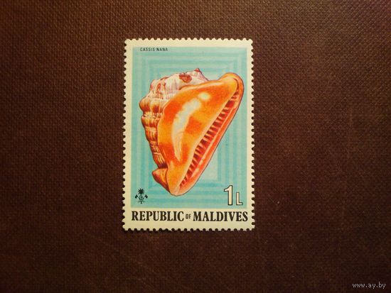 Мальдивы 1975 г.Моллюск./7а/
