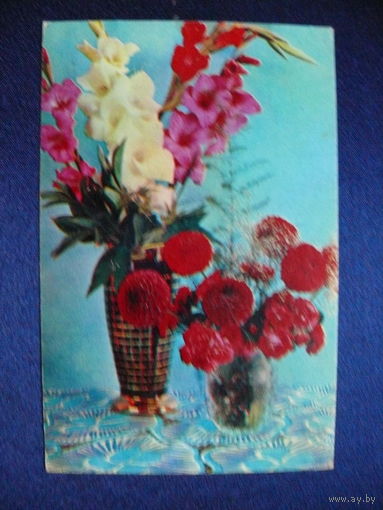 Фото Костенко Г., Цветы, 1971, чистая.