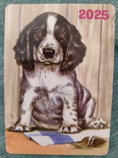Календарик карманный Собака 2025