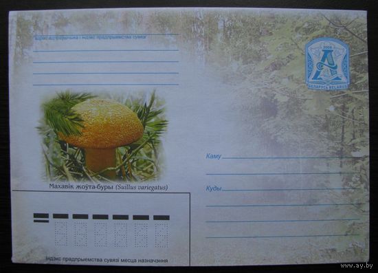 ХМК Беларусь 2006 г. Гриб моховик желто-бурый. з. 7064-06 .