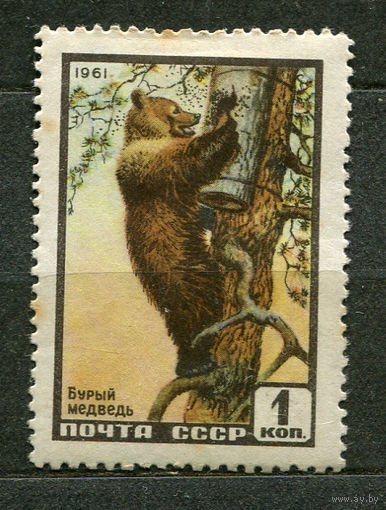 Фауна. Медведь. 1961. Чистая