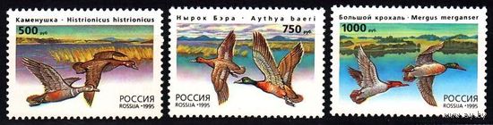 Россия 1995 г. 242-244 Фауна. Утки. **