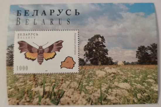 Блок Голубянка торфяниковая