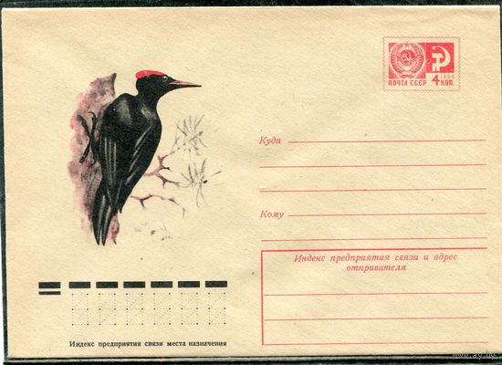 СССР 1974. ХМК. Конверт. Фауна. Черный дятел