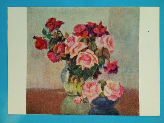1957. цветы. Бабад. Розы