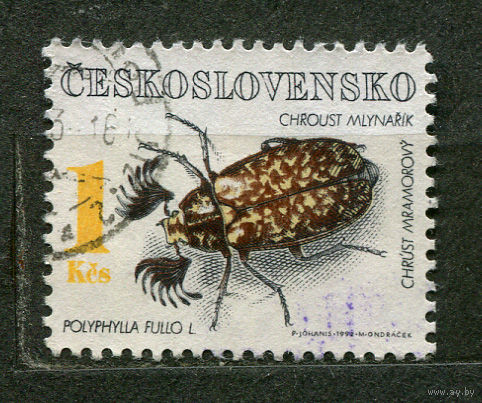 Фауна. Жук. Чехословакия. 1992