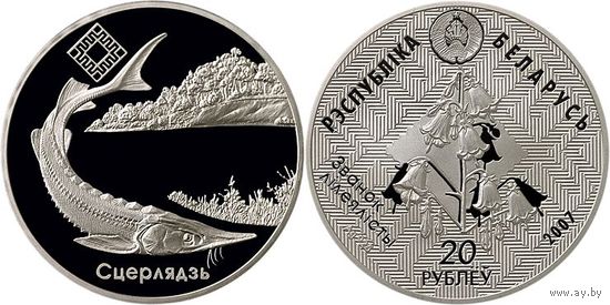 1 рубль 2007 Днепро - Сожский заказник Стерлядь
