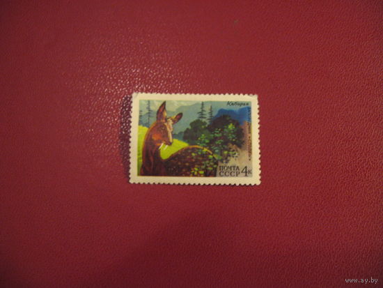 Марка Кабарга заповедник "Столбы" 1975 год СССР