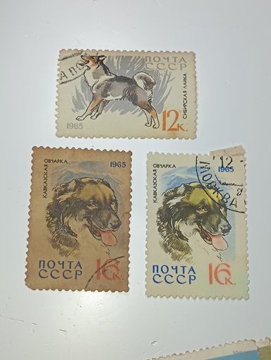 Распродажа коллекции с рубля ! Марки СССР  . Животные .