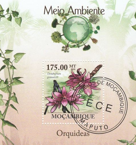 Мозамбик ,,Флора,, 2010г А
