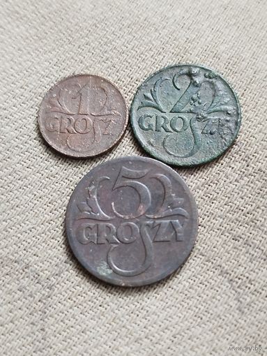 Распродажа - 1 грош 1925г,2 гроша 1925г,5 грошей 1923г.,ПОЛЬША