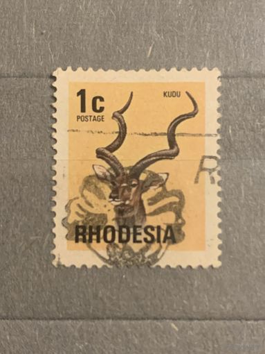 Индонезия. Фауна. Kudu
