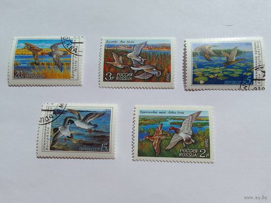 Марки птицы СССР 1990-1992 год    5шт