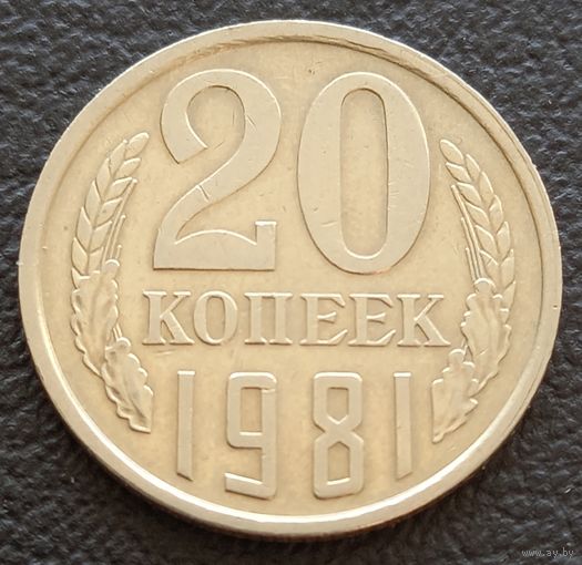 20 копеек 1981
