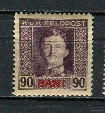 Австро-Венгреская оккупация Румынии - Полевая почта - 1917 - Кайзер Карл I 90 BANI - [Mi.14A] - 1 марка. MH.  (Лот 45Do)