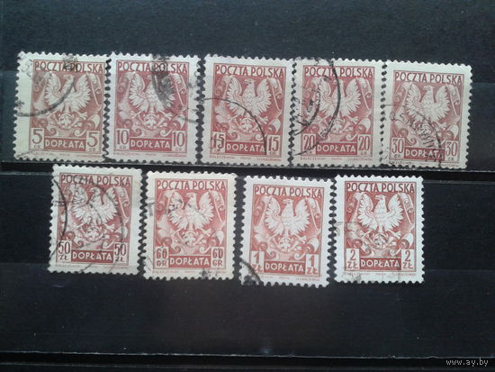 Польша, 1951. Доплатные марки