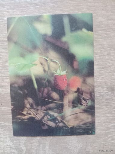 Календарик 1992