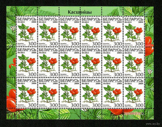 Беларусь. 2004. Стандарт. Костяника 300р. Лист 6х3