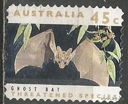 Австралия. Летучая мышь. 1992г. Mi#1280.