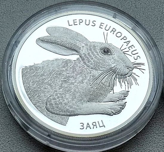 1 oz.  Заяц 2014г.  31,1г 999пр.