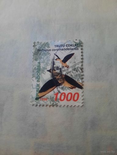 Индонезия 1998. Фауна. Птицы. Nettapus Coromandelianus