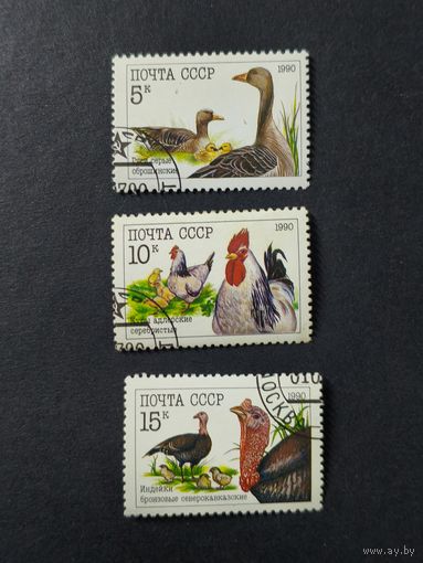 1990 СССР. Домашние птицы. Полная серия