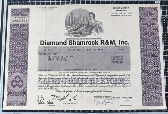 Акция, Diamon and Shamrock R-n-M Inc, 169 акций, 1987