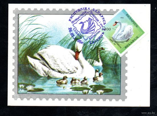 Филвыставка "Природа и мы" Беларусь 1995 год 1 картмаксимум